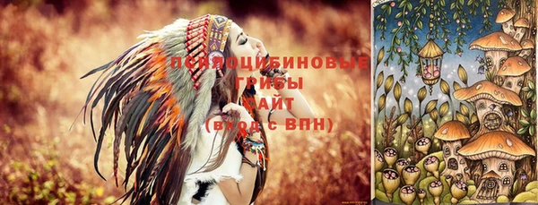 СК Волосово
