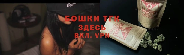 СК Волосово