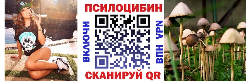 Псилоцибиновые грибы Psilocybe  Купить  Поронайск 